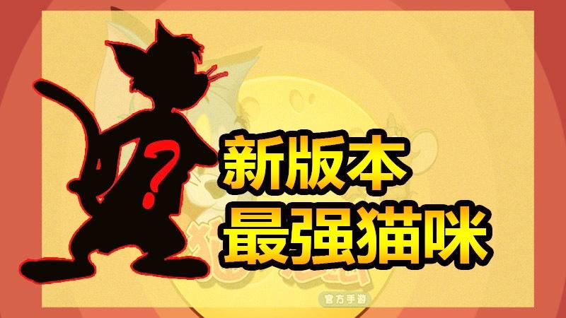 随风猫皇之路20：猫咪是该分出高低了，这个排行和你们想的一样吗