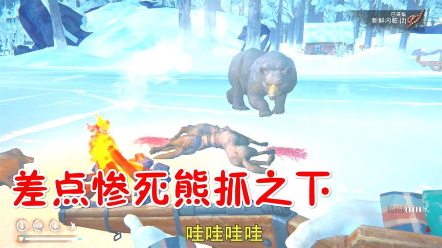 漫漫长夜44：再次被熊袭击，星星差点惨死熊抓！