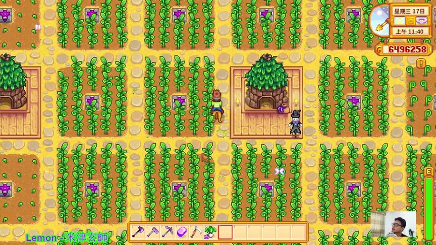 星露谷物语EP101：没材料做稻草人，心累