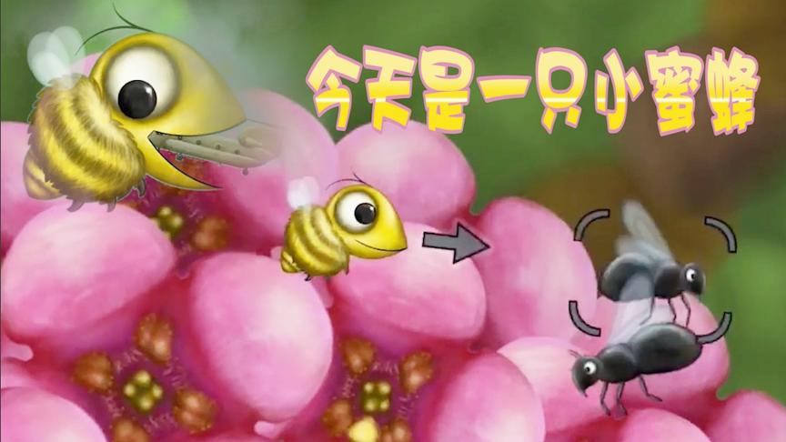 美味蜜蜂（上）：蜜蜂也能吞天地？