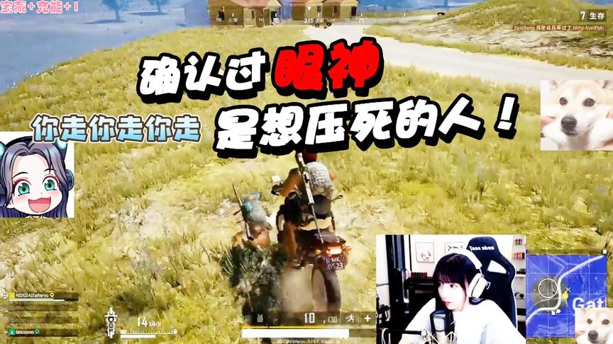 绝地求生呆妹儿：确认过眼神！是想压死的人！