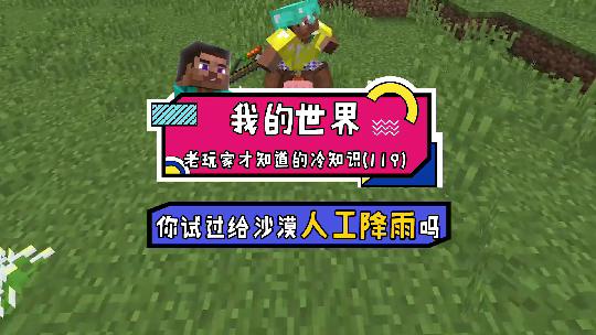 我的世界：我在制作烟花时额外加入了糖粉，在沙漠引爆后降下了雨