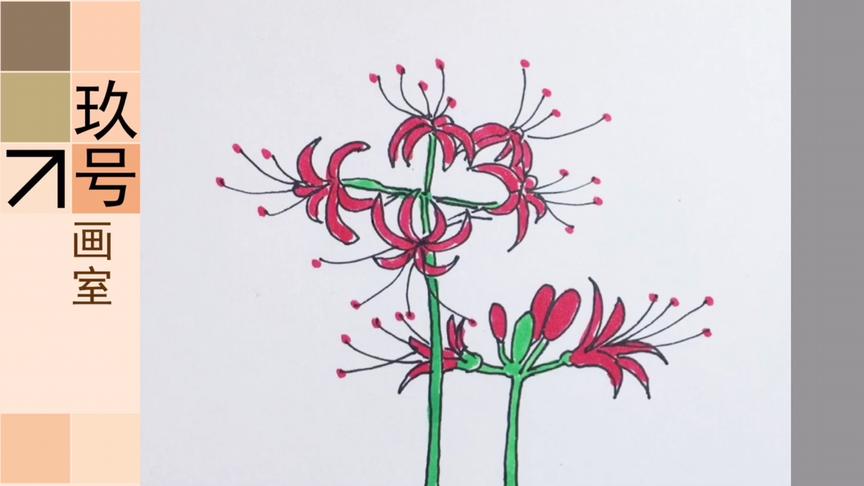 彼岸花简笔画步骤图解 西瓜视频