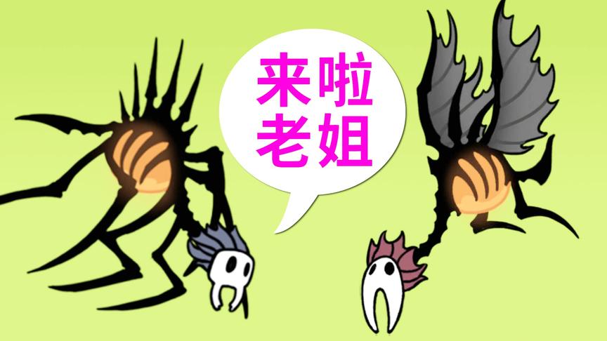 会飞的诺斯克，老姐你也来啦！空洞骑士神居五门（三）小宝趣玩