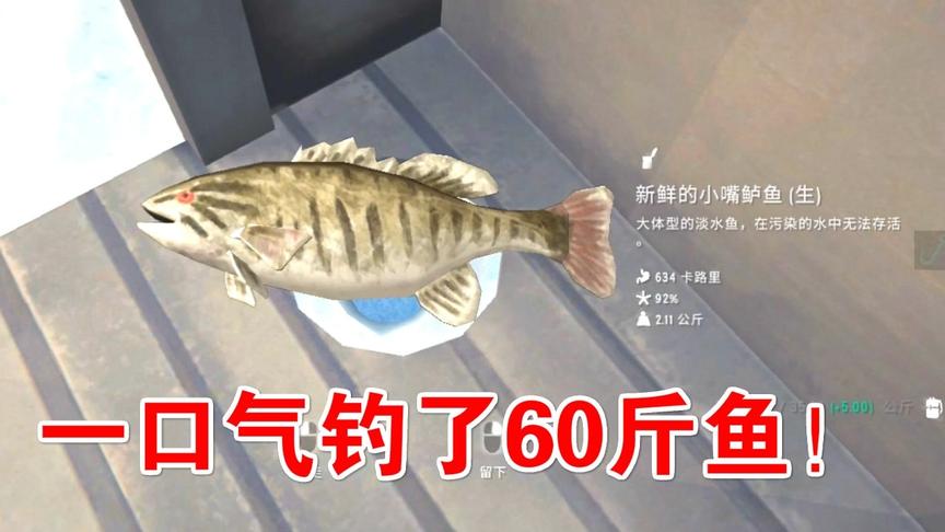 星星在冰洞钓鱼，一口气钓了60斤：漫漫长夜26