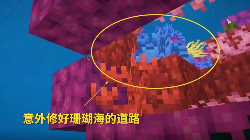 我的世界1.14联机62：大背头报错坐标，意外修好珊瑚海的交通枢纽
