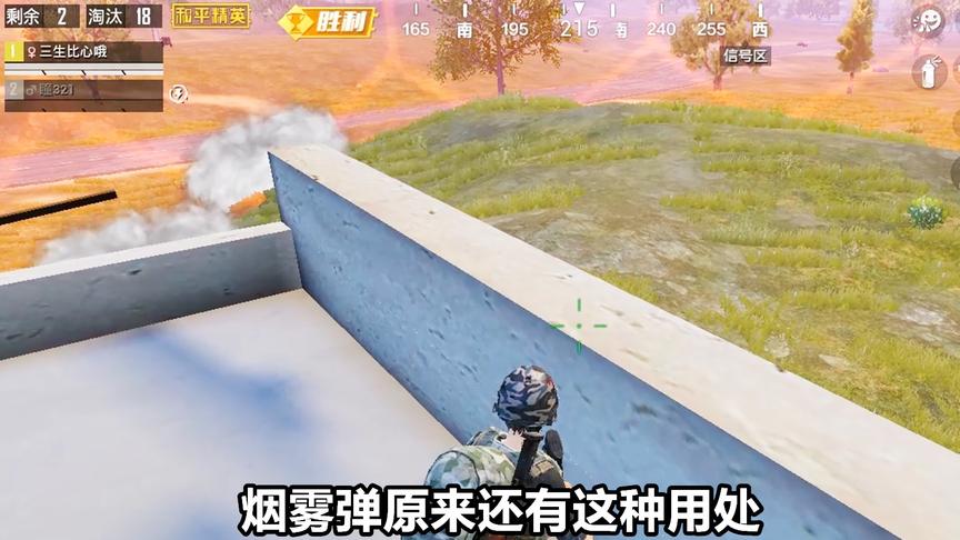 三生解说：决赛圈烟雾弹原来还有这种用处啊，差点上当，领教了