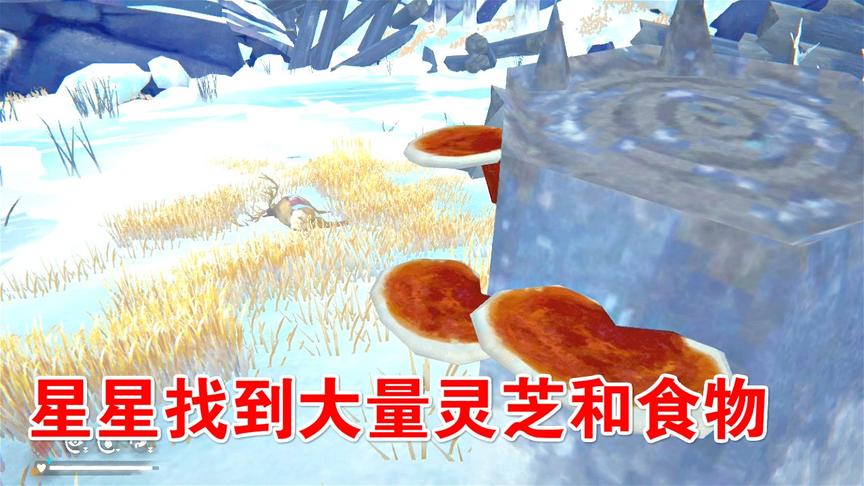 漫漫长夜34：在峡谷深处，找到大量物资！