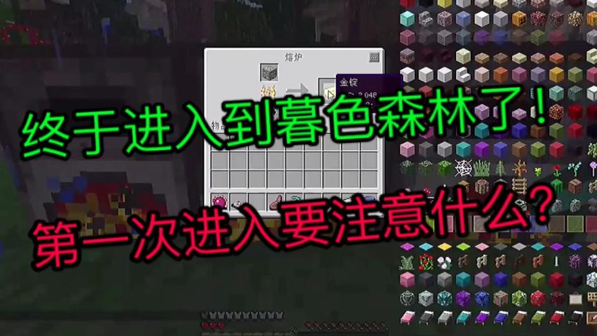 韩天明终于进入暮色森林了！刚进去要注意些什么？（3）