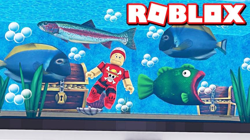 小飞象解说 Roblox水族馆模拟器 发现比人大数倍的神秘生物！