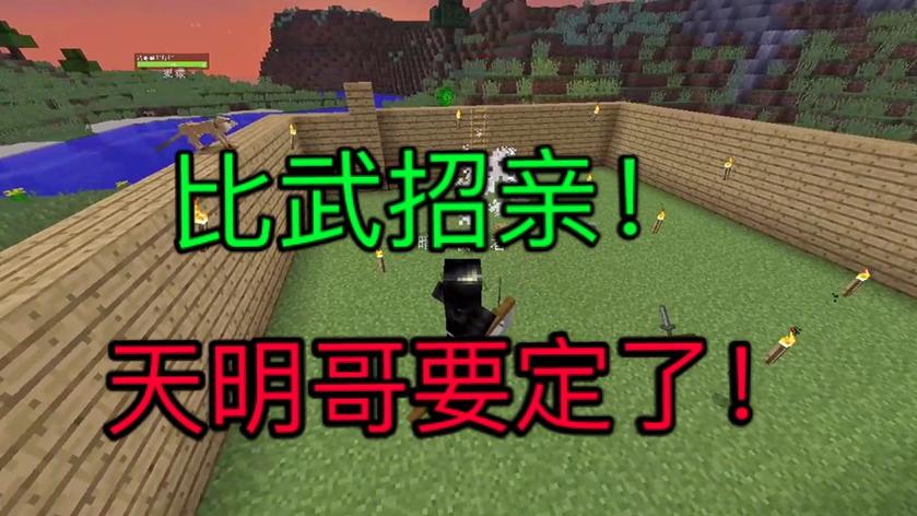 我的世界：比武招亲，菲儿是谁的拳头说了算！