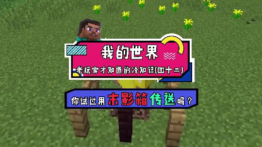 我的世界：Minecraft里的任意门了解一下？真的是想去哪就去哪