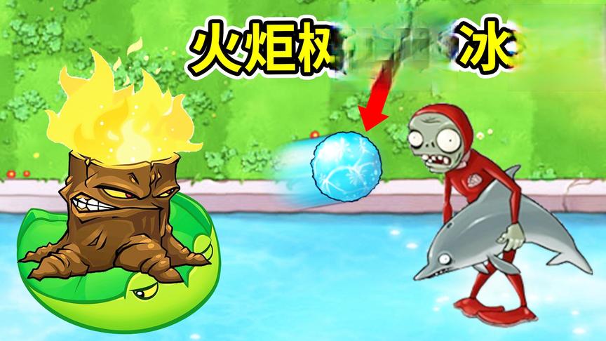 植物大战僵尸95版：火炬树桩怎么扔冰球？出Bug了？小宝趣玩