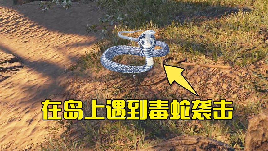 荒岛求生08：木筏漂到一座荒岛上，在上面竟被蛇攻击，身上中毒了