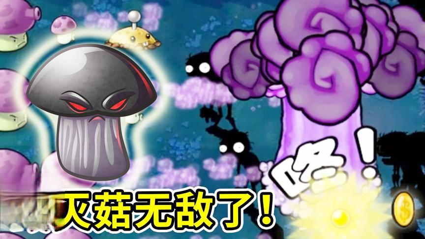 植物大战僵尸95版：植物中的核武，毁灭菇无敌了！小宝趣玩