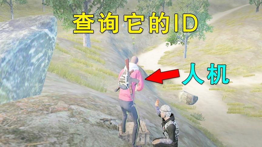 和平精英：我记录人机的名字，尝试查看它战绩，光子会提示什么？