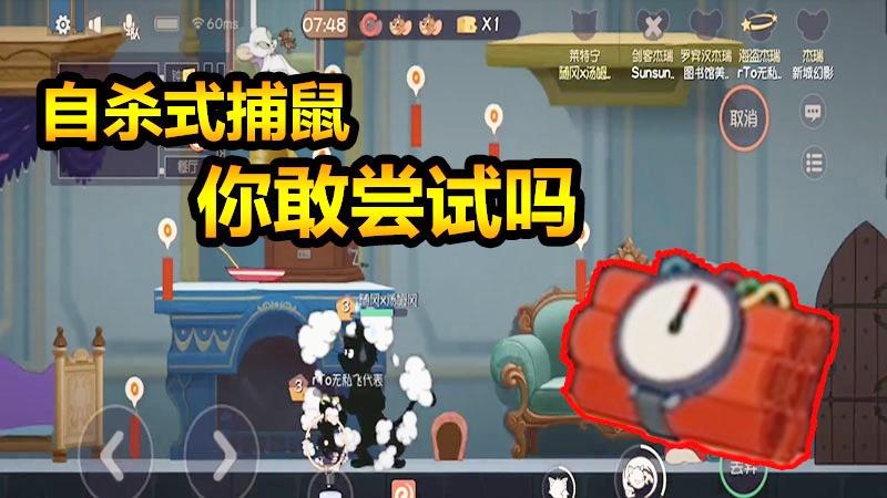 随风猫皇之路11：玩猫一定要会这一招，自杀式捕鼠没失败过！