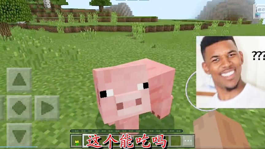 还记得你第一次玩我的世界？这句话你敢说没听过？阿坑带你回忆