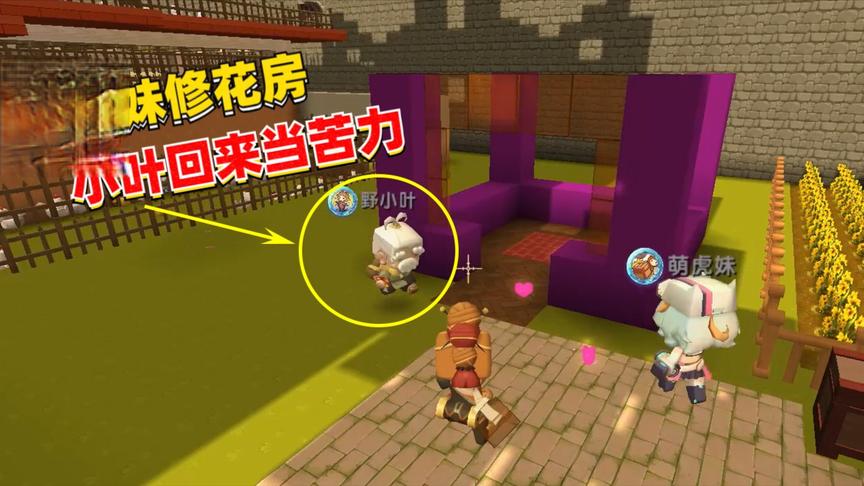 荒岛求生139：萌虎妹修建花房，小叶被传送回来给我们当苦力