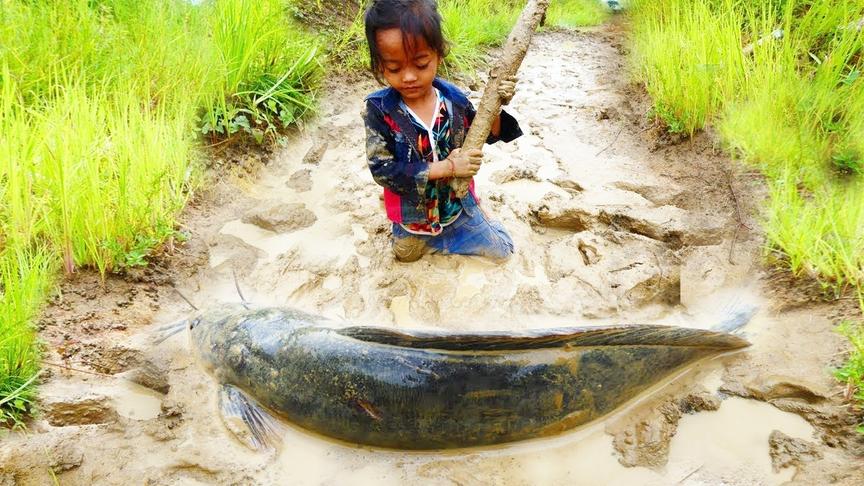 小女孩抓鱼!以为是青铜,实际是王者!我这么大还在玩捉迷藏!