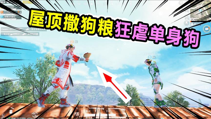 七夕情人节：屋顶秀恩爱，撒狗粮狂虐单身狗，网友：结局大快人心