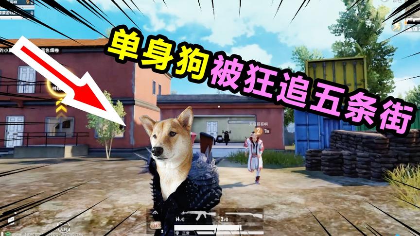 七夕情人节篇：屋檐上求婚，被路人无情取笑，真替单身狗解恨！
