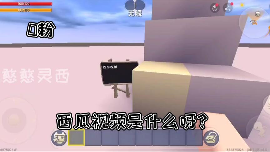 灵西的一生，感谢你们的陪伴❤️