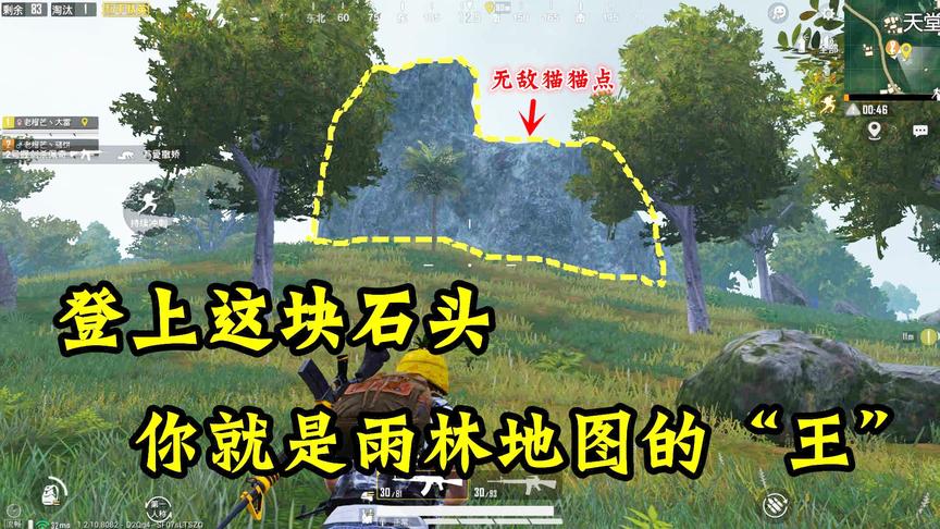 雨林地图不起眼的一颗石头，竟是无敌猫猫点！敌人来一个杀一个！