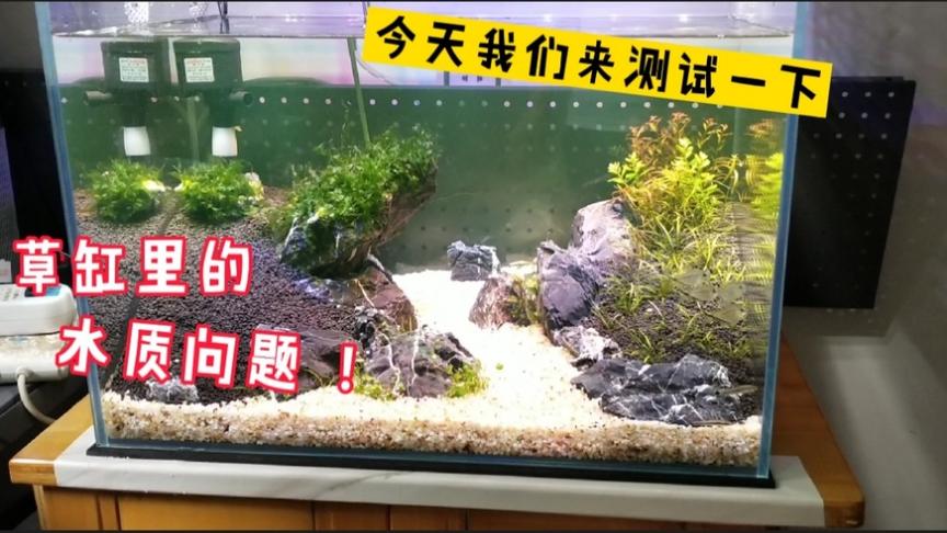 Ph值多少适合养水草 西瓜视频