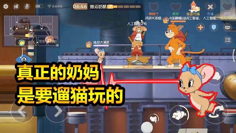 随风猫皇之路14：必须削弱！这是一只能顶着猫强行救鼠的老鼠！