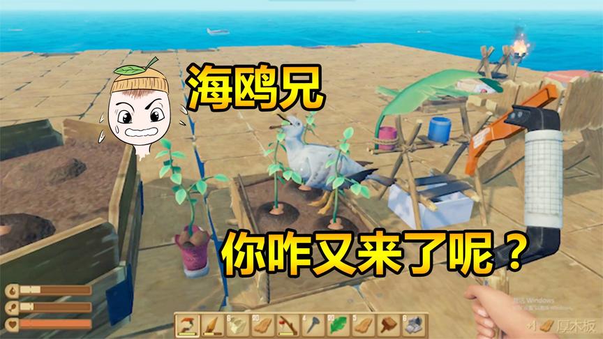木筏求生06：收小弟海鸥和鲨鱼兄弟，好吃好喝供着
