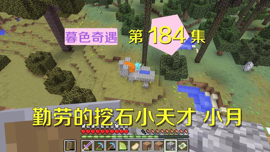 我的世界阿阳暮色奇遇184：从空岛回来的小月是个挖石头的小天才