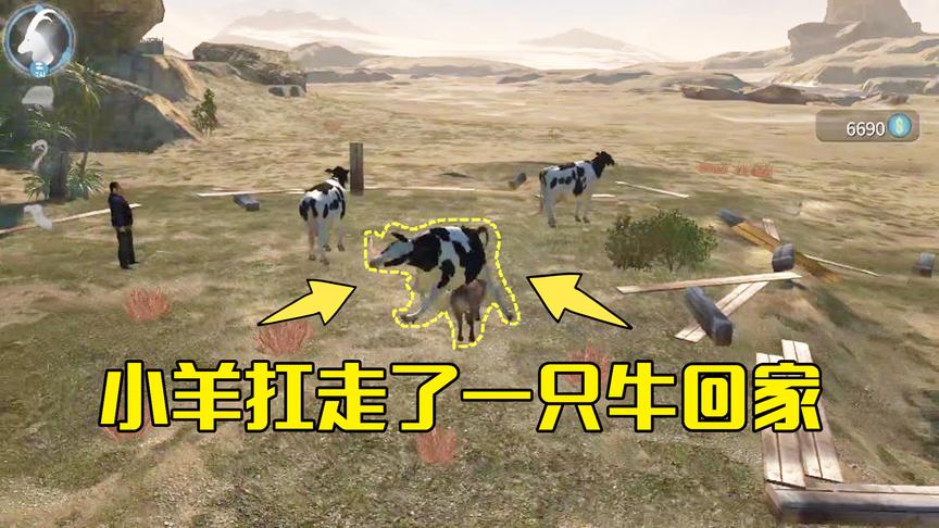 模拟山羊第43期：小羊扛走一只牛回家，走到半路它竟双脚走路跑了