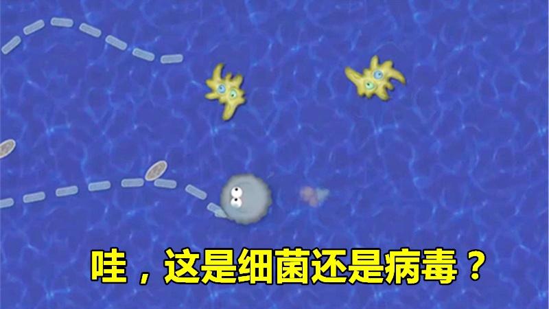 美味星球：从网页小游戏进阶到电脑游戏，这枚细菌比以前更能吃了
