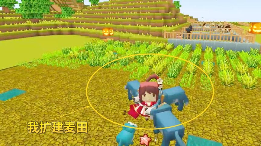 迷你世界极限生存33：为了能尽早过上小康生活，我又扩建了麦田