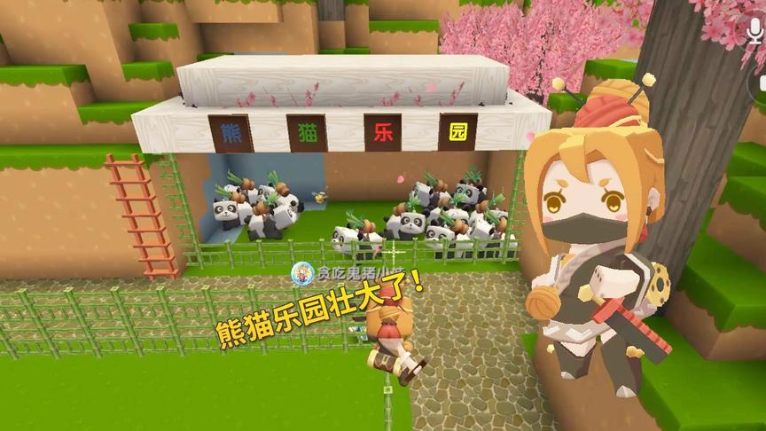 迷你世界极限联机42：熊猫乐园，添丁加口，又增加了7只熊猫