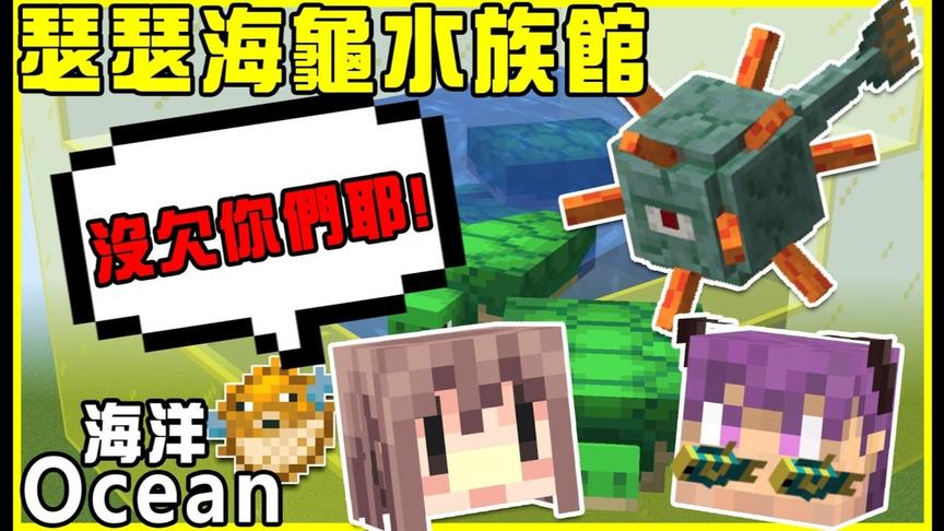 准备踏入海洋海洋阶段！建造瑟瑟的黄色海龟水族馆!!