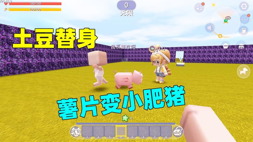 迷你世界：土豆做了个替身，薯片嘲笑他没头发，结果被变成小肥猪