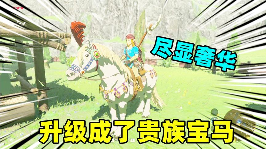 塞尔达传说11：参加马术大赛获得奢华礼品，王马升级成贵族白马