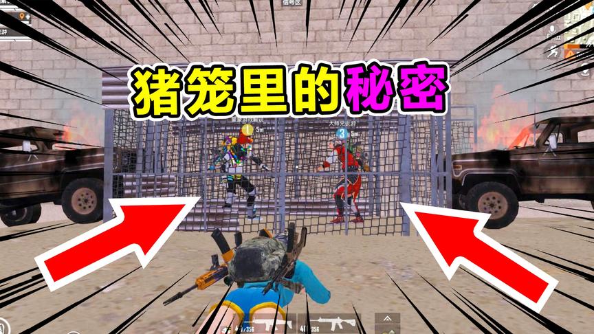 爆笑吃鸡80：10万粉丝小主播把表弟关猪笼，只为了这个！好心疼！