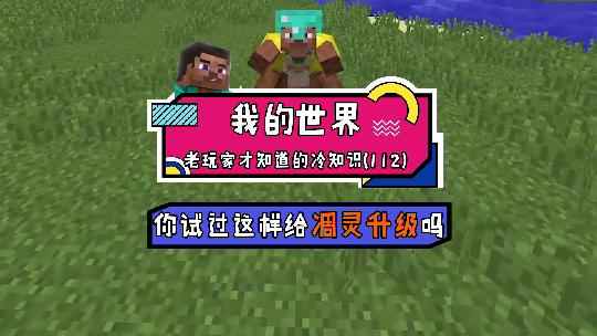 我的世界：会漂浮的坐骑了解一下，得到它你需要准备大量附魔之瓶