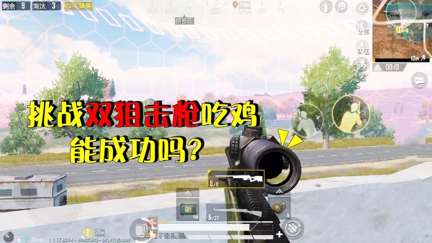 和平精英挑战秀10：双狙击枪吃鸡，空投送来狙神，只用一枪就搞定