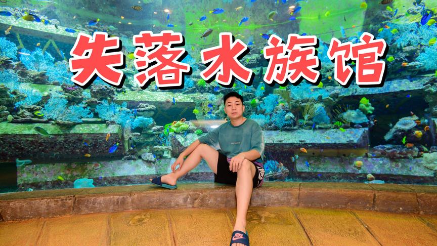 陈大白：看到一堆奇怪的鱼！还有一只长的像明星？