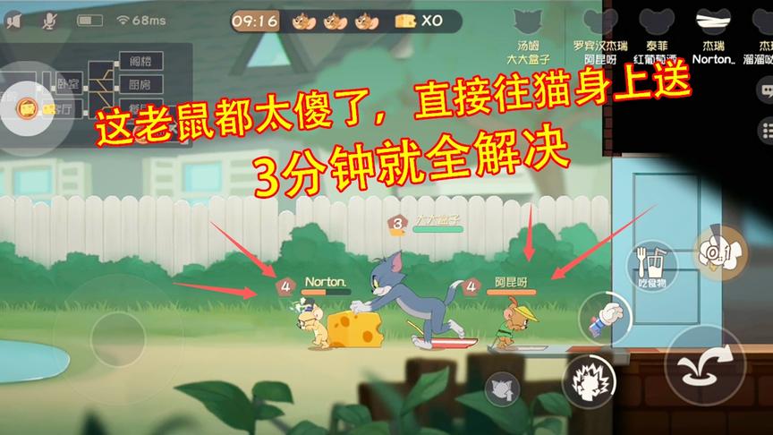 猫和老鼠手游：这汤姆猫就是好玩，第一次玩就遇到一群送死的老鼠