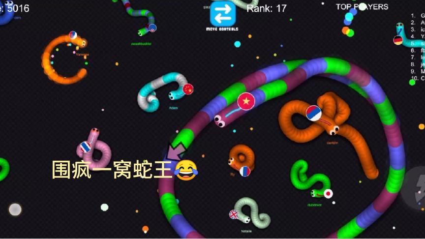 围疯一窝蛇王😂喜欢的朋友点点关注感谢支持
