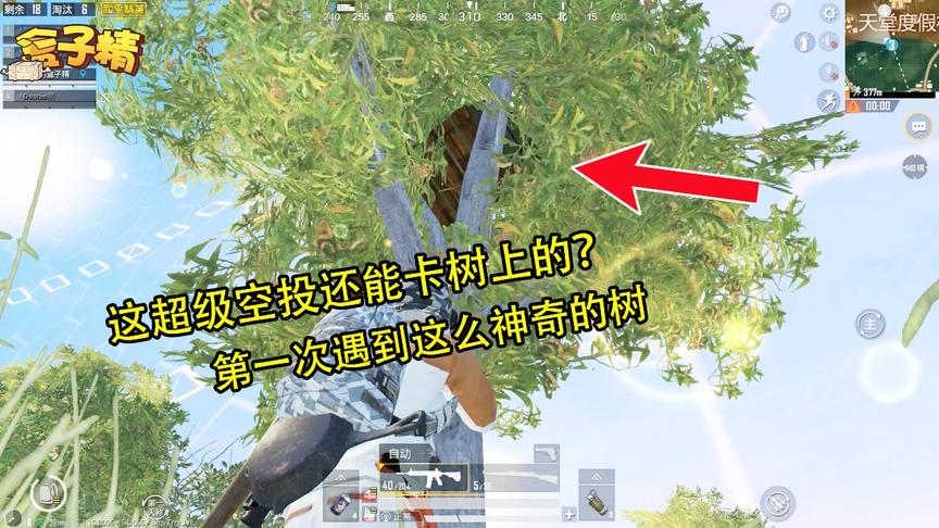 和平精英：这超级空投还能卡树上的？第一次遇到这么神奇的树