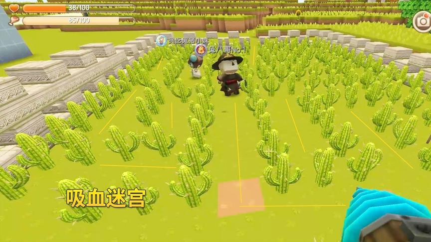 迷你世界联机高级590：我昼夜加班，将仙人掌吸血迷宫建好了