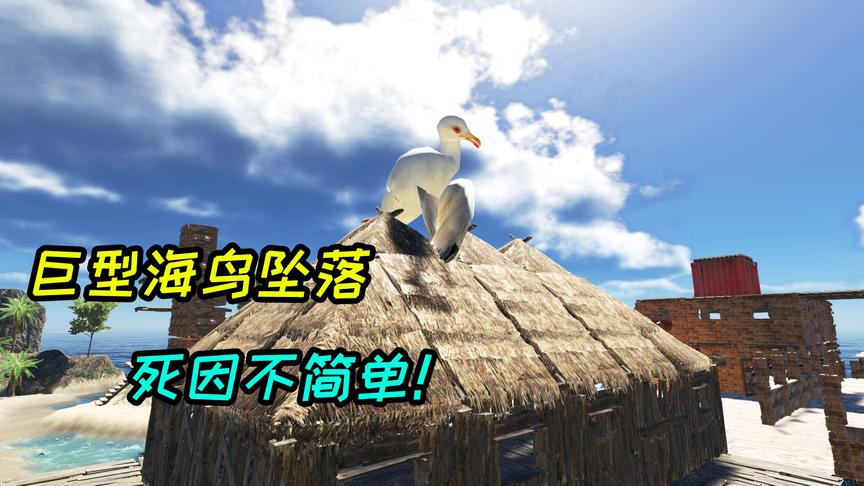 荒岛求生79：房顶坠落一只巨型海鸟，它的死因不简单！