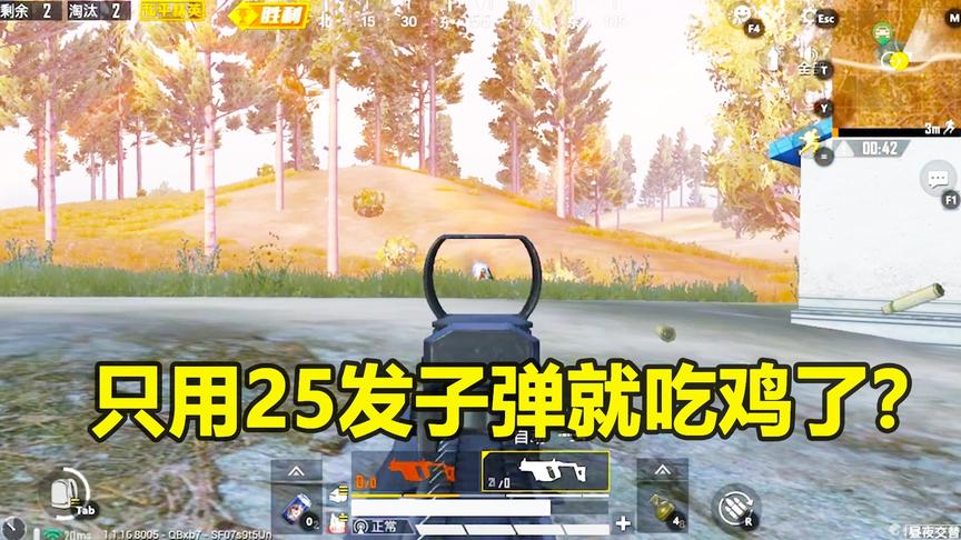 和平精英：全程不舔一个包，决赛圈只用25发子弹就吃鸡了？