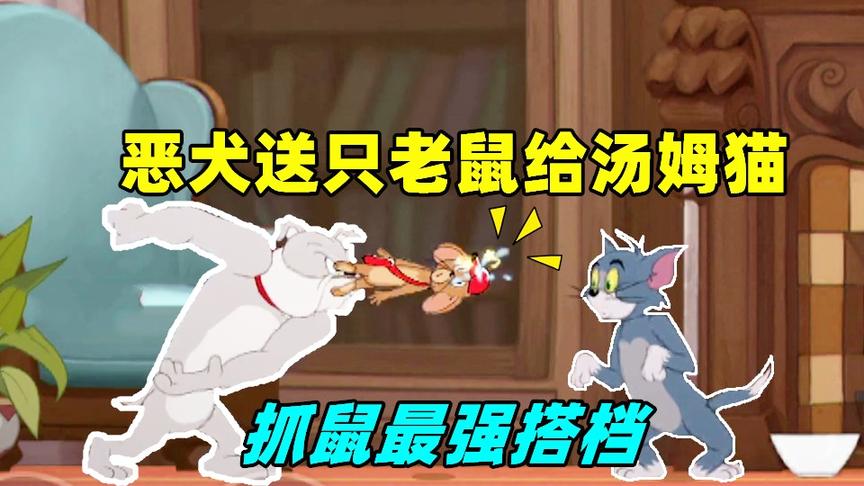 猫和老鼠手游：恶狗睡觉被吵醒，和汤姆猫组成搭档一起抓老鼠